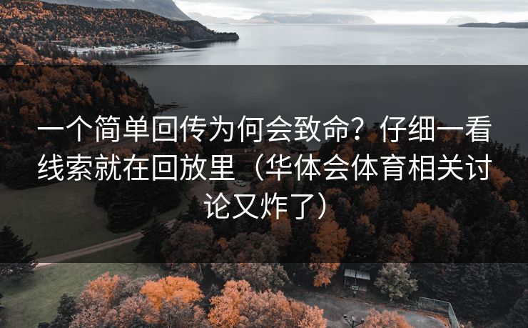 一个简单回传为何会致命？仔细一看线索就在回放里（华体会体育相关讨论又炸了）