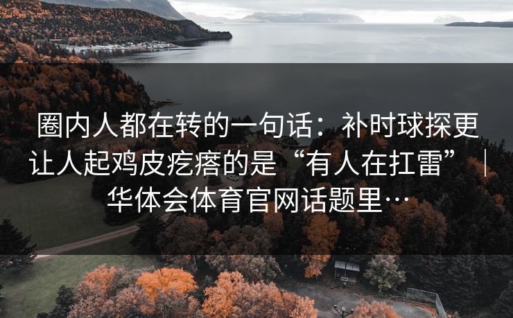 圈内人都在转的一句话：补时球探更让人起鸡皮疙瘩的是“有人在扛雷”｜华体会体育官网话题里…