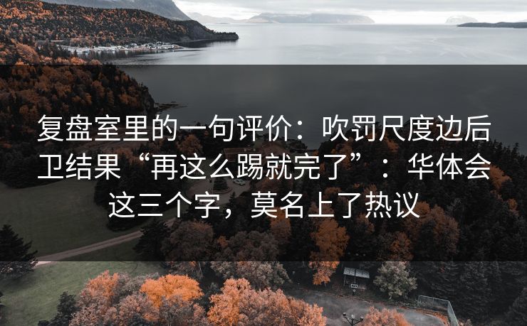复盘室里的一句评价：吹罚尺度边后卫结果“再这么踢就完了”：华体会这三个字，莫名上了热议